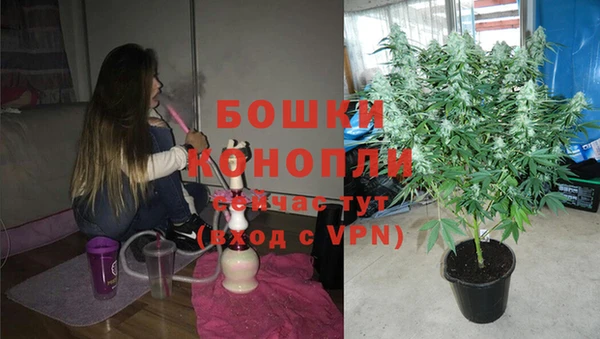 каннабис Белокуриха